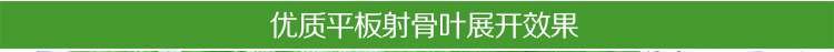 750葡萄葉_28