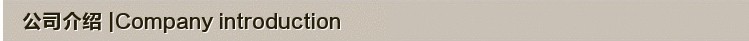 公司介绍