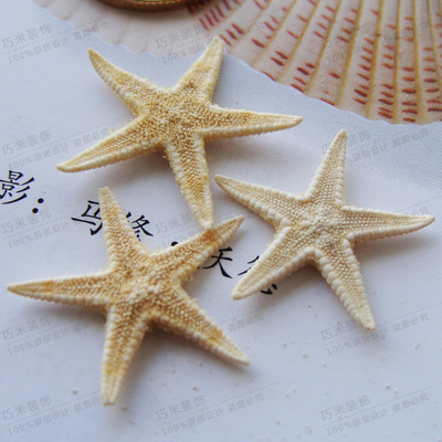 大量供應天然小黃海星 迷妳海星 扁海星 工藝裝飾地中海1顆