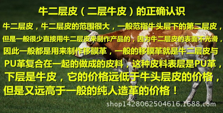 TB2v6xzaXXXXXXJXXXXXXXXXXXX_!!