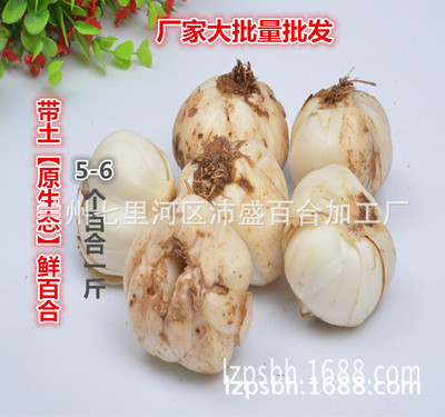 2020新農産品蘭州甜百合土百合蒸炒炖煮均可廠家批發500g 包郵