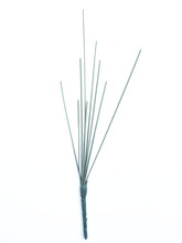 �x�����滨�S�� �ɻ� �宋��� �x��9�^������ ��֦ ���U 45CM