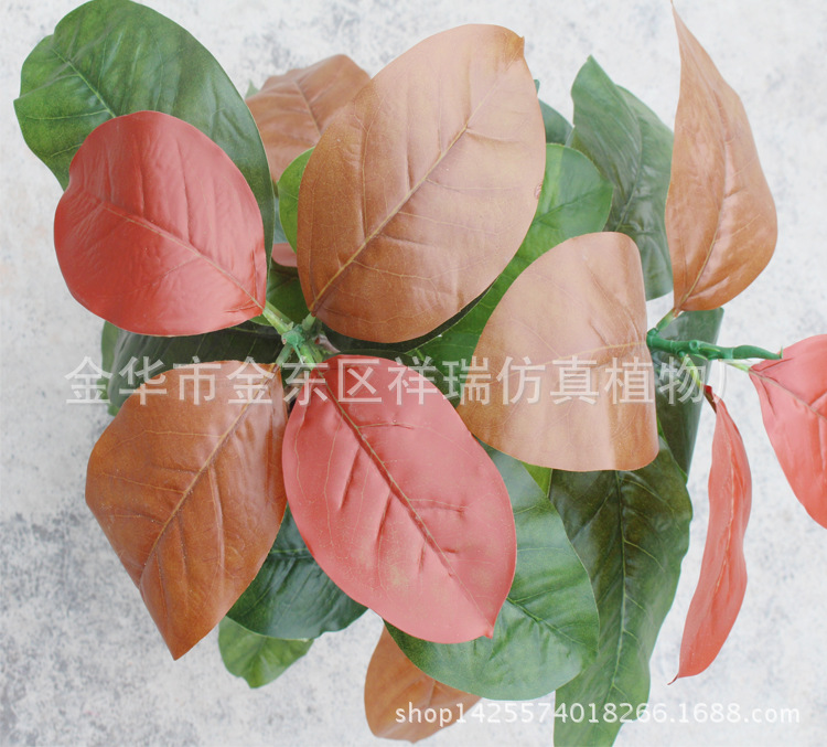 XRB-102秋高榕叶五叉支40叶60厘米叶子2