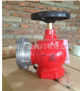 �A̩�҃�˨ �A̩����˨�y SN50 SN65 2��� �������C ���~ DN65