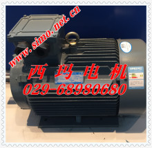 YGM2ϵ��늙C YGM2-315L1-6 YGM2-315L2-6 132KW ����늙C