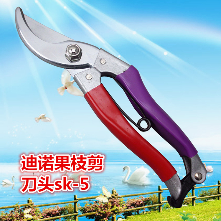 详情图