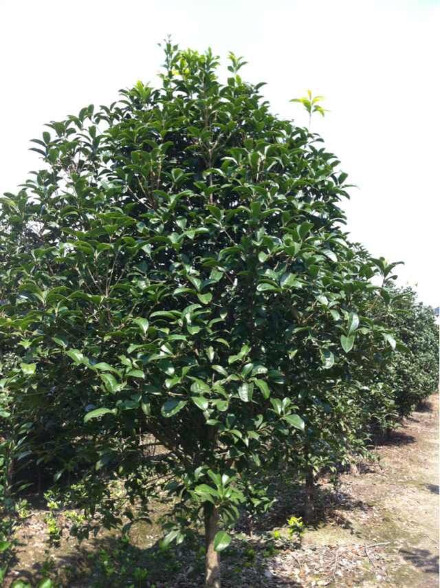 QQ图片20150506203211