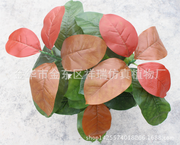 XRB-102秋高榕叶五叉支40叶60厘米叶子1