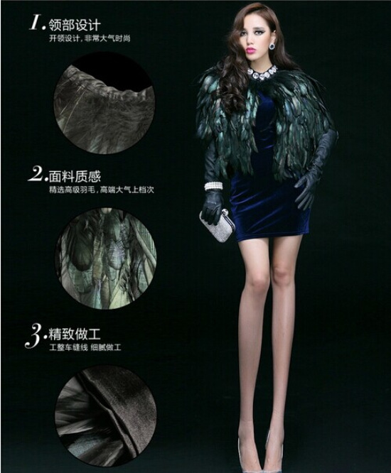 Gilet femme en Plume naturelle - Ref 3316511 Image 5