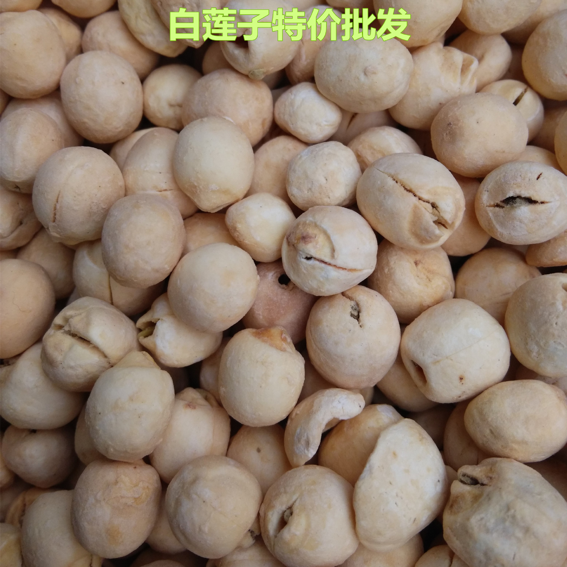 supply Lotus seed Tongxin White Lotus Seed Chinese herbal medicines major market wholesale Can OEM Daizhonggong