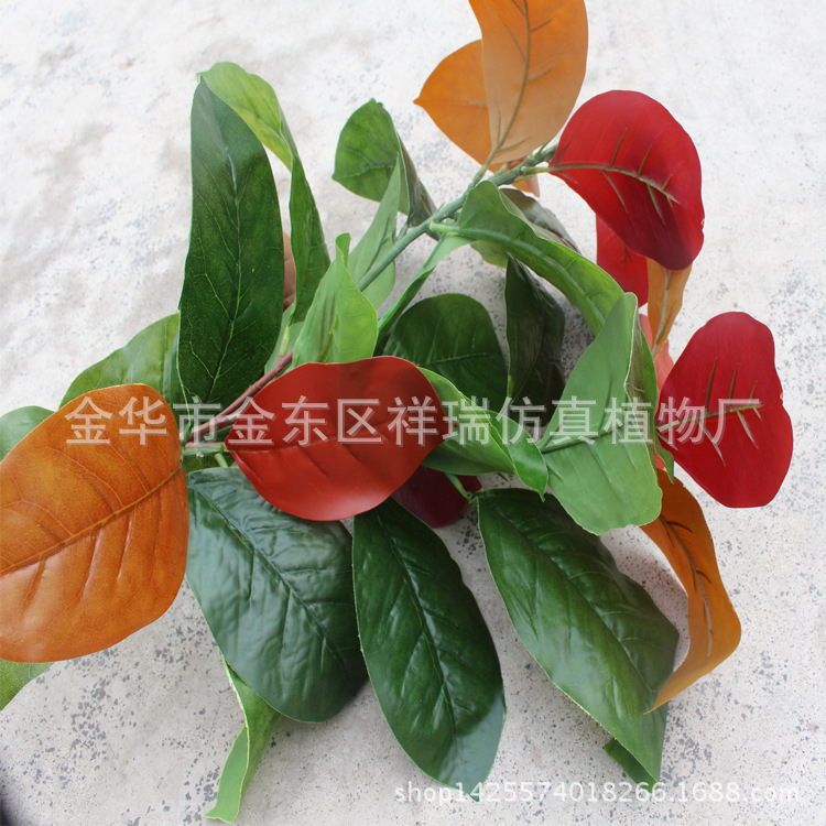 XRB-102秋高榕叶五叉支40叶60厘米叶子