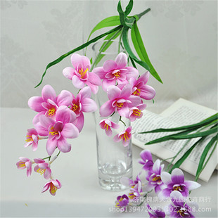 ����2�����m ���滨�ٻ����l������c�ҾӔzӰ�b���ֲ��