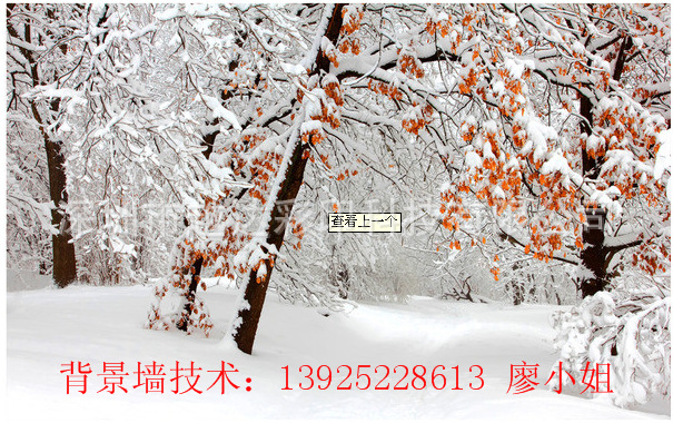 背景墙印刷效果