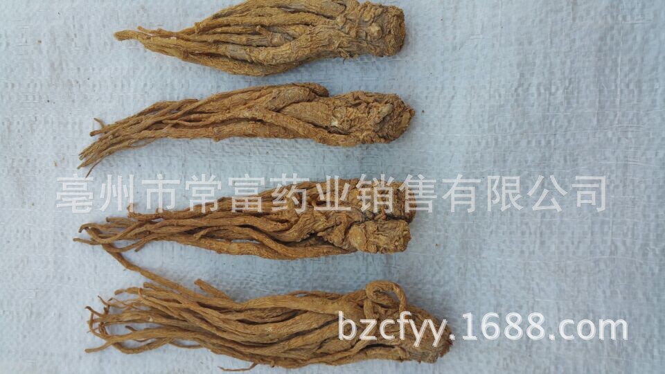 Dried Angelica Sinensis Slices Dang Gui Whole Root TCM Herbal Decoction Ingredient 500g key features
