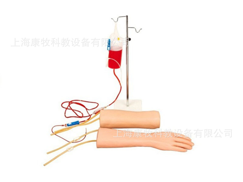 手部、肘部组合式静脉输液（血）训练模型