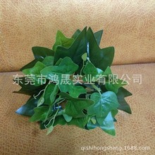 ҃șbެ~׵ɫع~ֲbֱֲN