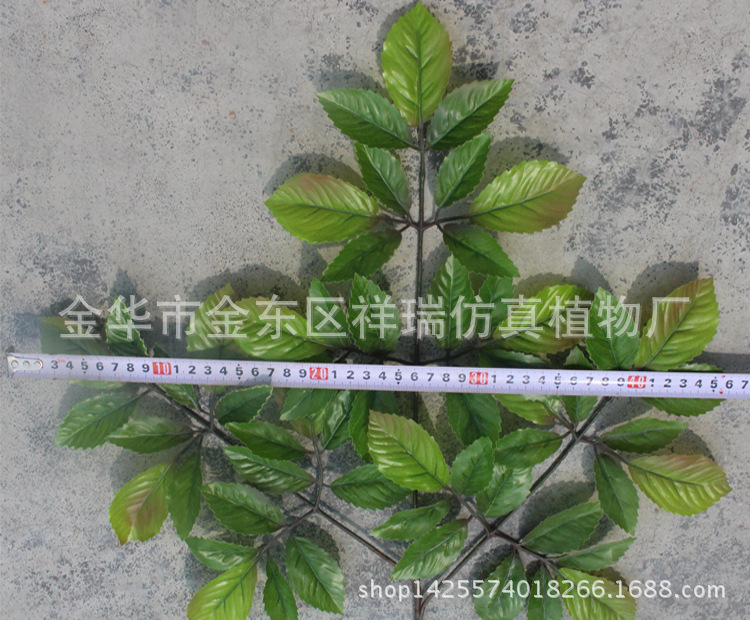 XRB-109榆树叶3叉枝57叶52厘米宽