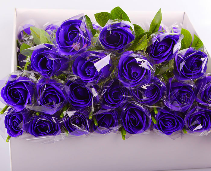 04251e3375d3ff806afa2fb321103c