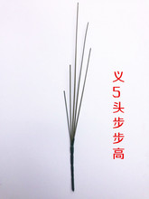 �x�����滨��� �x��5�^������ �L40����  �ɻ����ϻ�֦ �ٻ����