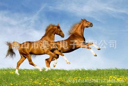 u=1611395291,1991236631&fm=23&