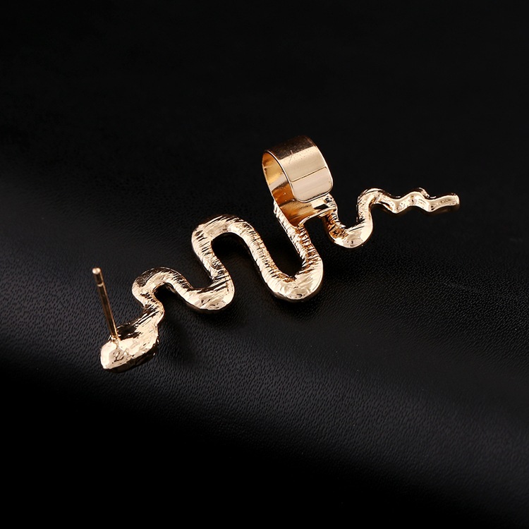 Fashion Exaggerated Snake-shaped Earrings display picture 10