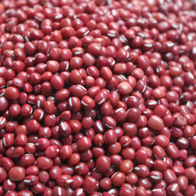 ʳ�ü�1173�t���㾫����W�ϱ��������t����ɳ�и����Lζ