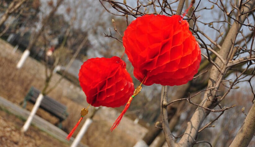 QQ图片20150119095604