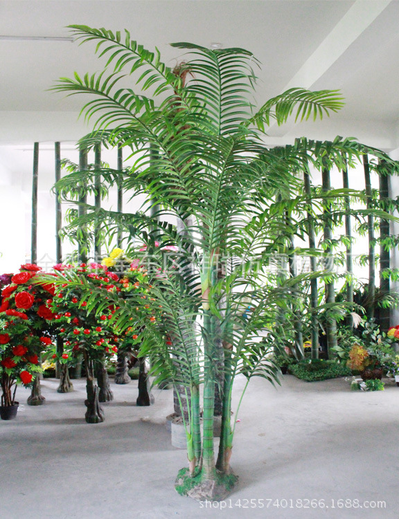 XRS-087六杆椰子叶树26叶230厘米侧面