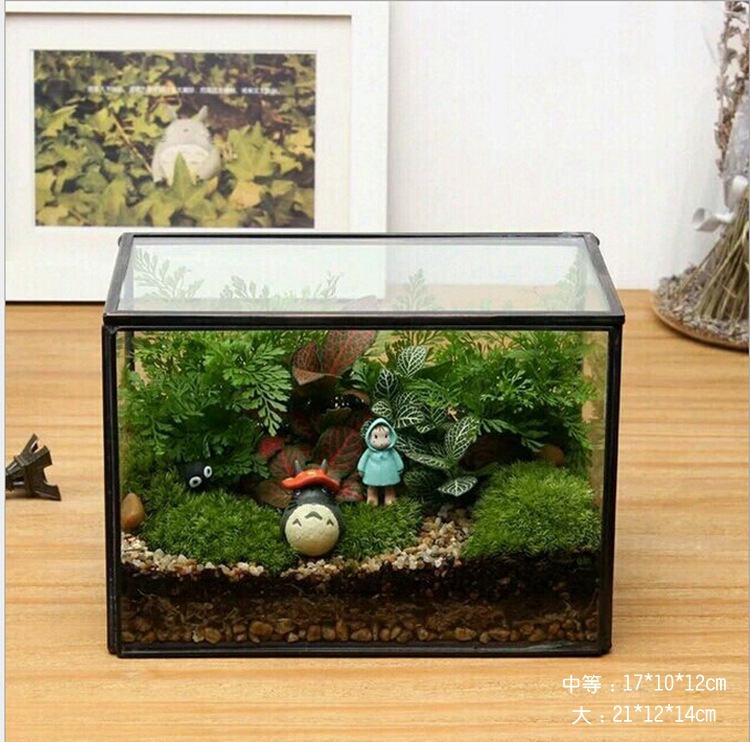 2165174627_876759438_副本