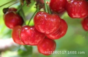 �������r��̨�����