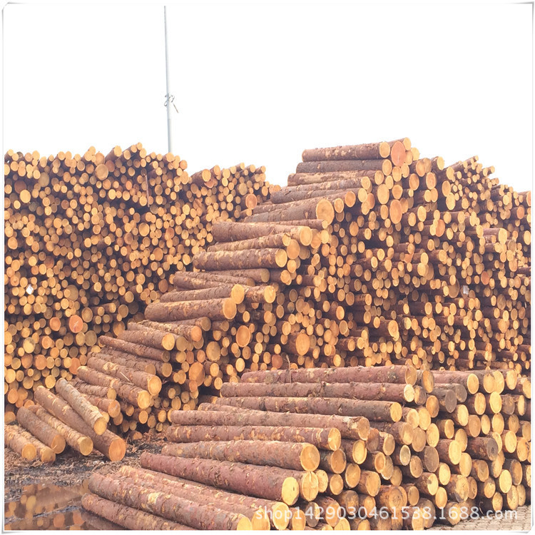 c8d96f06574bdd87daef82d797e4bf