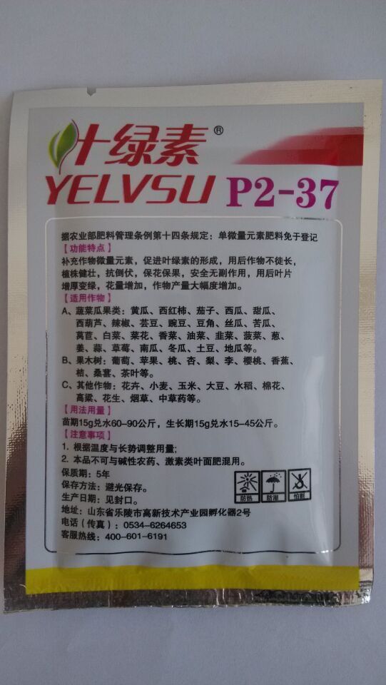 红叶绿素背面
