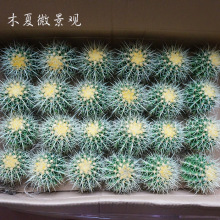 ������ֱ�������l������������ֲ��� ݗ �������������� С����