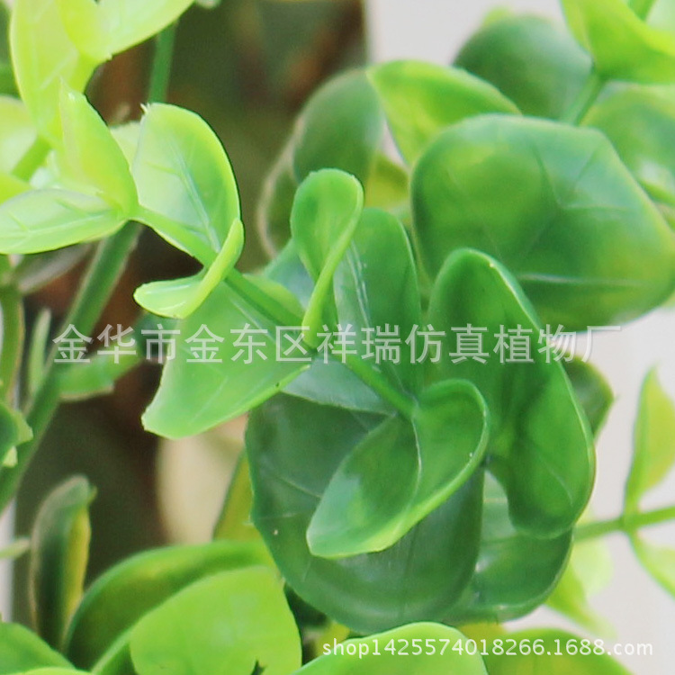 T2AratXKhaXXXXXXXX_!!830934889