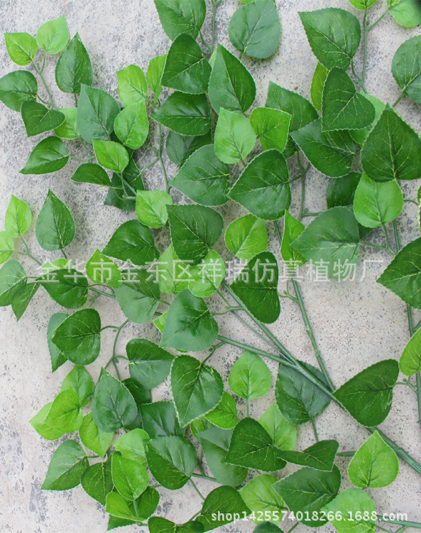 白桦五叉枝春色2