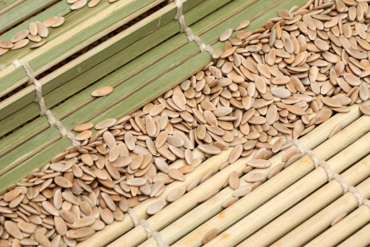 Roasted Muskmelon Seeds Low Temperature Baked Bulk Melon Seeds 500g specifications
