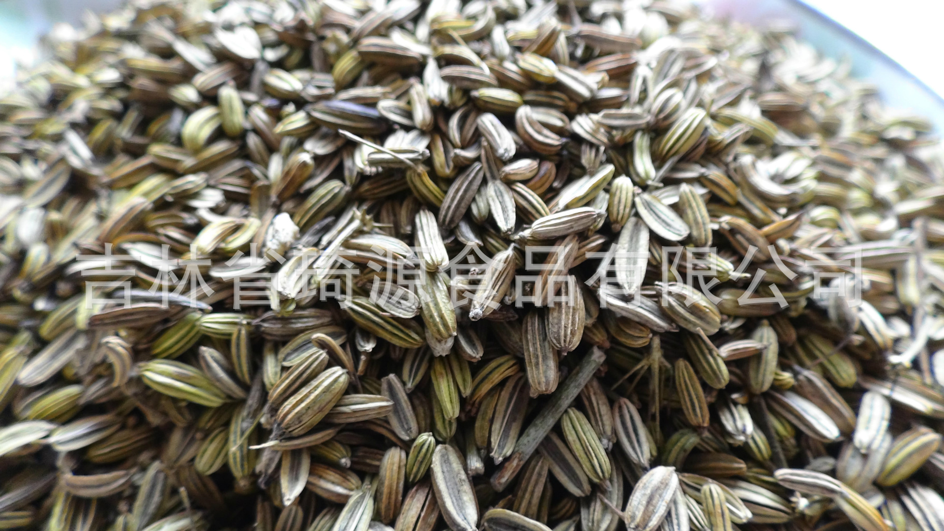 Roasted Fennel Seeds Hui Xiang Zi Low Temperature Baked Culinary Spice overview