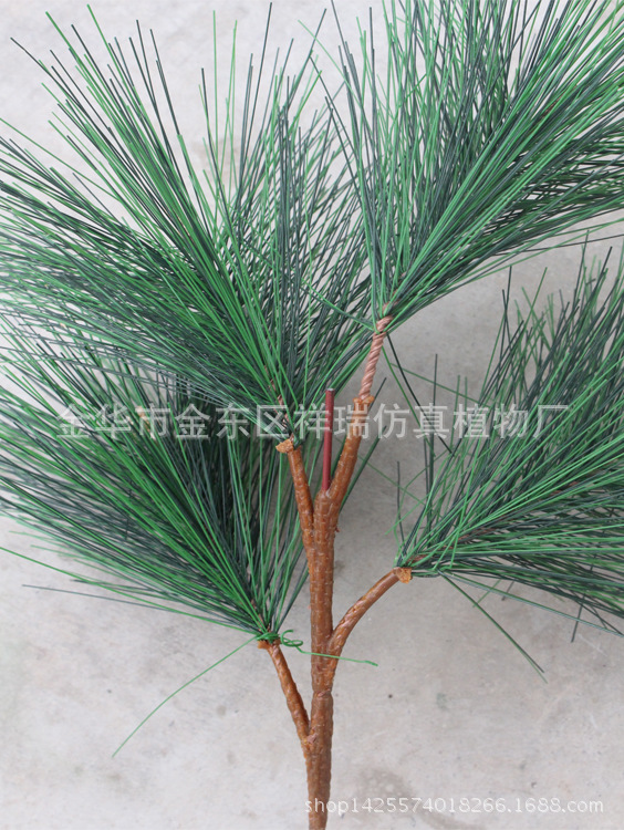 XRB-039大松针四头枝4叶38厘米背面