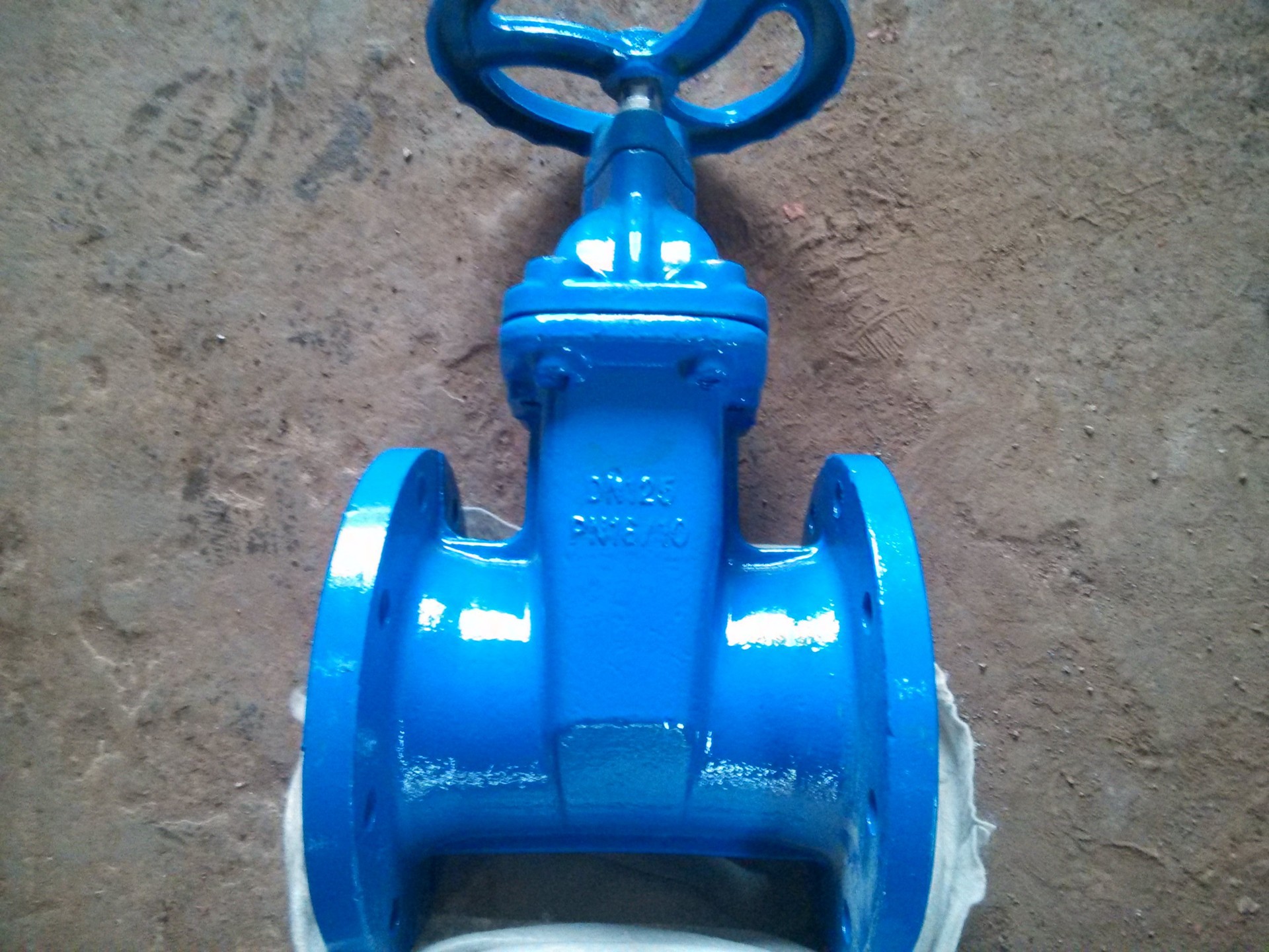 弹性座封闸阀 软密封闸阀 RVHX/Z45X-16 DN125 厂家直销质优价美