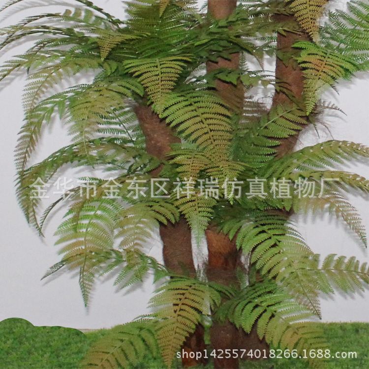 XRS-043四杆包棕桫椤叶树132叶190厘米2
