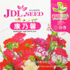 Hardcover color bag family installed potted flower carnations seeds seeds fragrance bamboo seeds about 15 capsules