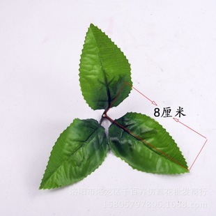 �߷�������õ���~ ����ٺ��~ �G���~ ���� �����b��~�؃r���l