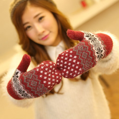 Korean Version New Autumn/Winter Gloves, Fashion Women Double Layer Thick Warm Knitted Snowflake Mittens for Women