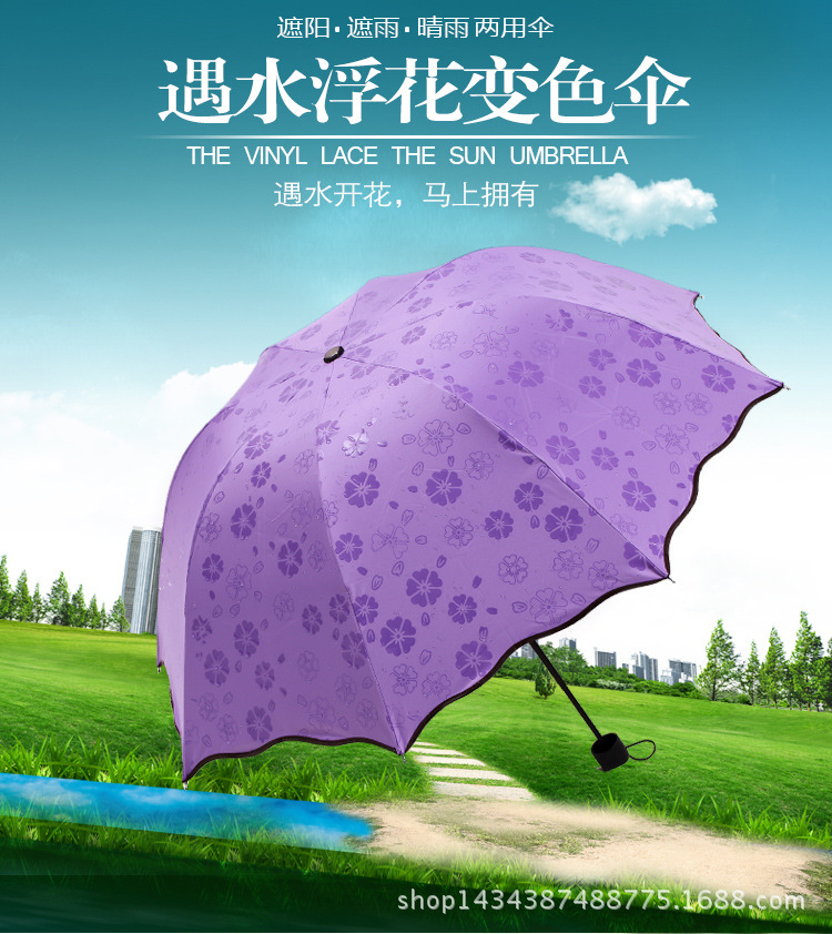 雨傘_01
