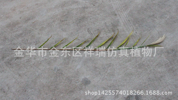 秋芦苇叶单杆叶