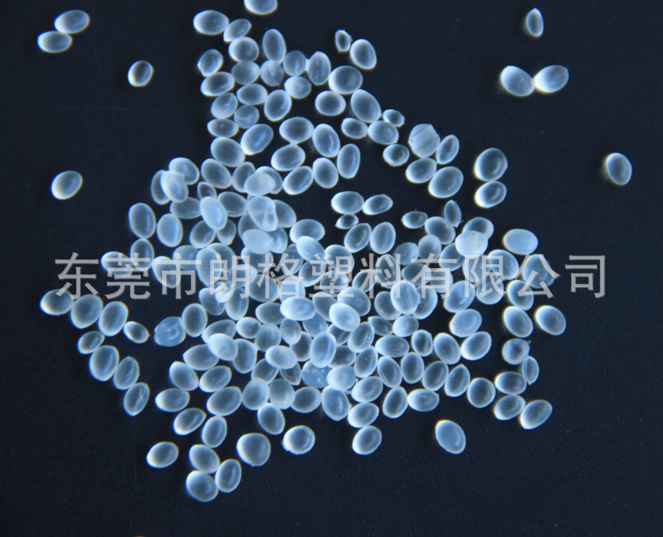 法国阿科玛弹性体系列PA12 2533 比重轻 弹力好 耐寒 眼镜包胶