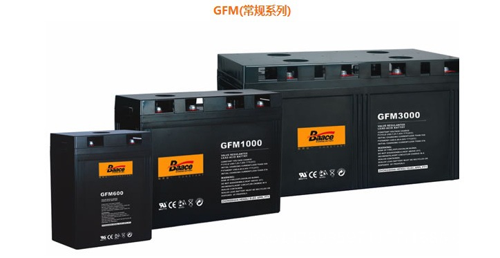 GFM1000