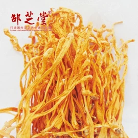 灵芝;保健食品;其他滋补