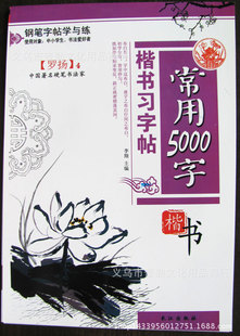 罗杨钢笔习字帖楷书常用5000汉字中小学生成人正楷硬笔书法练习 阿里巴巴