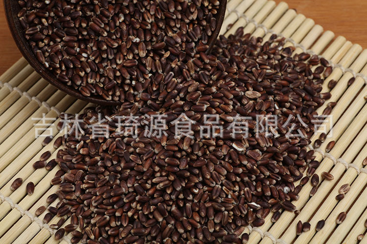 Roasted Black Wheat Low Temperature Baked Whole Grain for Fresh Soy Milk and Congee specifications